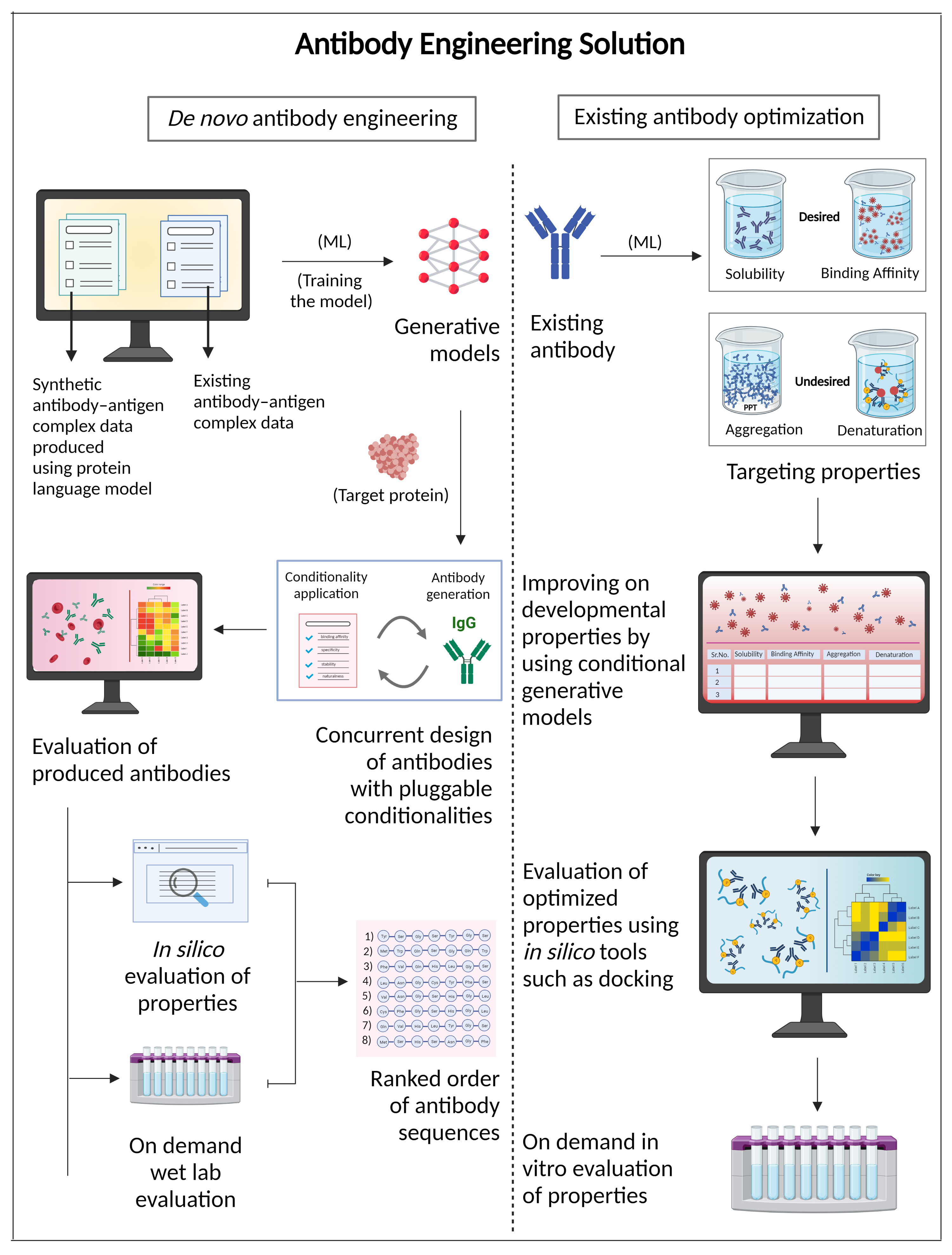 In the de novo antibody engineering pipeline, given a synthetic antigen-antibody complex or an existing antigen-antibody complex, the steps are selecting target proteins using ML generative models, concurrent design of antibodies with pluggable conditionalities, evaluation of produced antibodies which includes in silico evaluation of properties and on-demand wet lab evaluation, and finally a report containing a ranked order of antibody sequences. In an existing antibody optimization pipeline, given an existing antibody, the steps are improvement on developmental properties by using conditional generative models, evaluation of optimized properties using in silico tools such as docking, and on-demand in-vitro evaluation of properties.