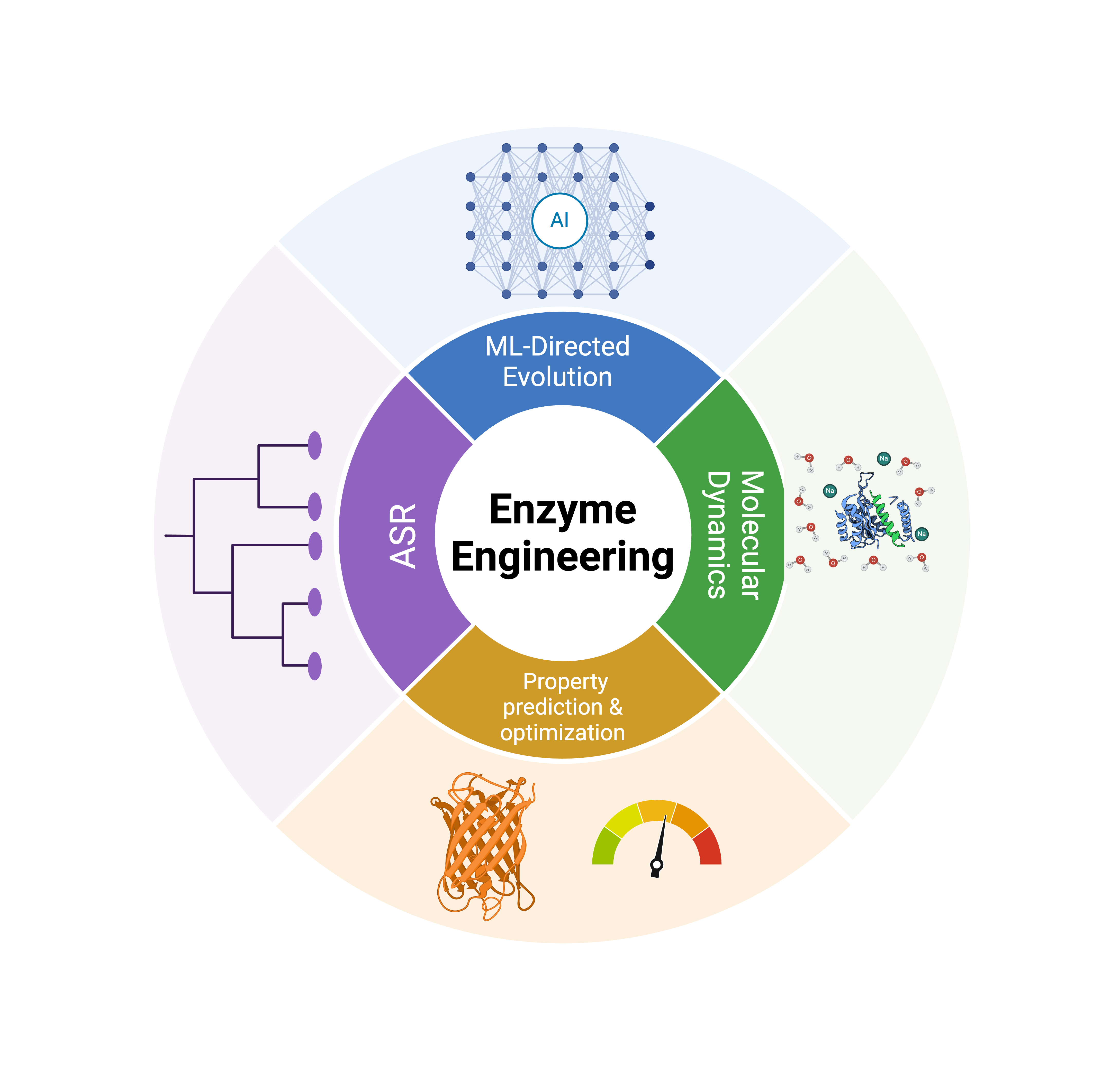 Enzyme engineering strategies