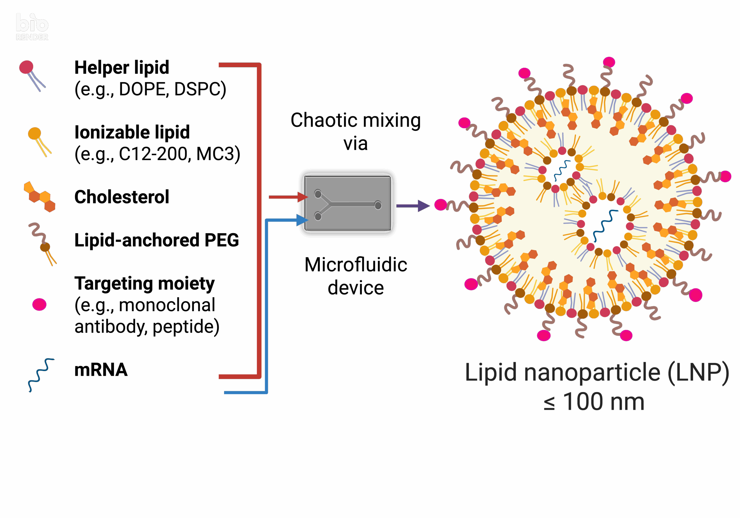 Lipid Nanoparticle-Mediated Delivery of mRNA Therapeutics and Vaccines
